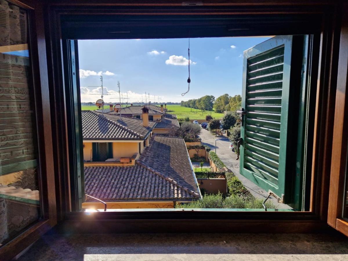 Casa Elsa Daire Palidoro Dış mekan fotoğraf