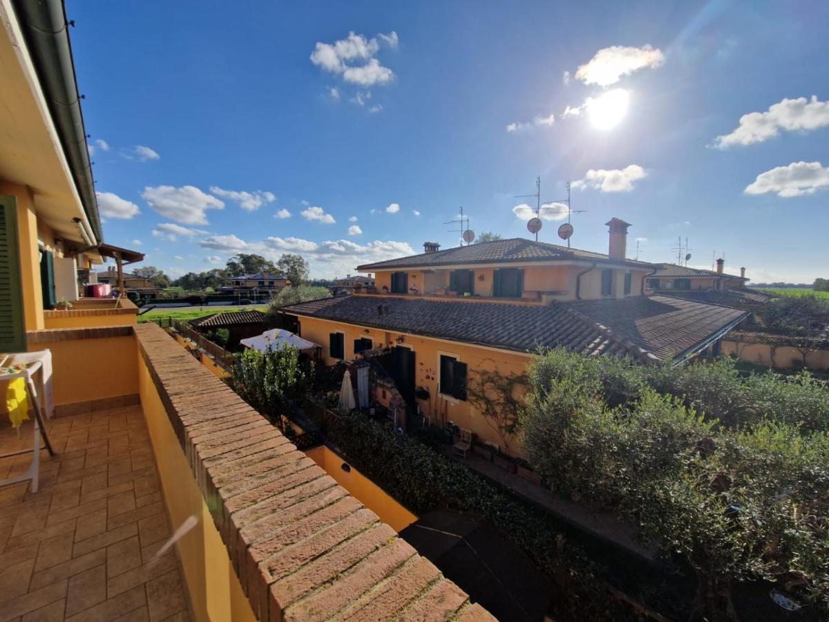 Casa Elsa Daire Palidoro Dış mekan fotoğraf